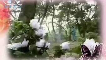 临安记忆 背景,探寻千年古城的历史足迹与人文情怀