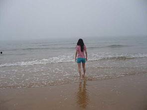 海边雾图片,海边雾气缭绕的神秘画卷