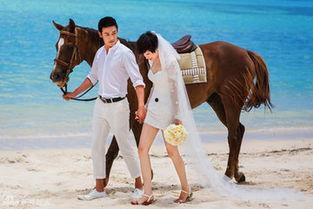 陆毅老婆个人资料,揭秘娱乐圈女神的优雅人生