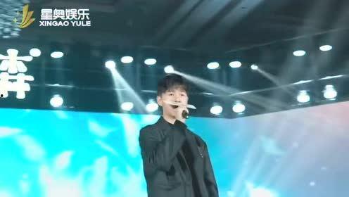 星奥娱乐集团,引领娱乐产业新潮流的璀璨明珠